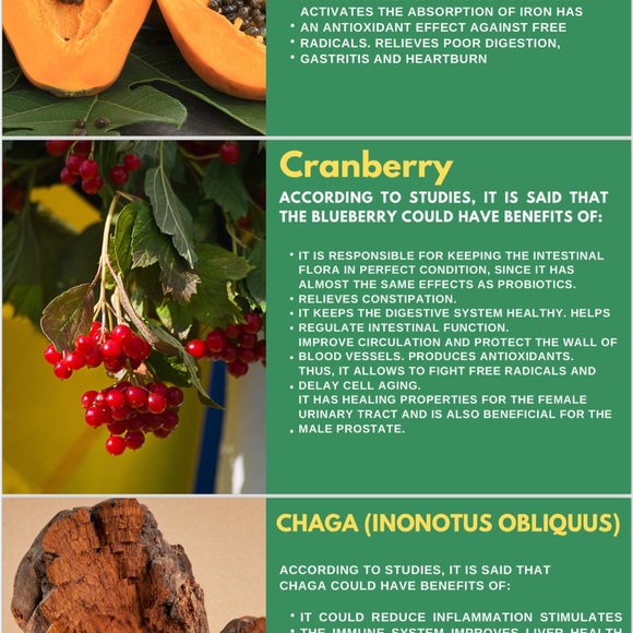 Tea Vida Divina - Picture 7 of 12